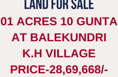 Agriculture land for sale in Auction