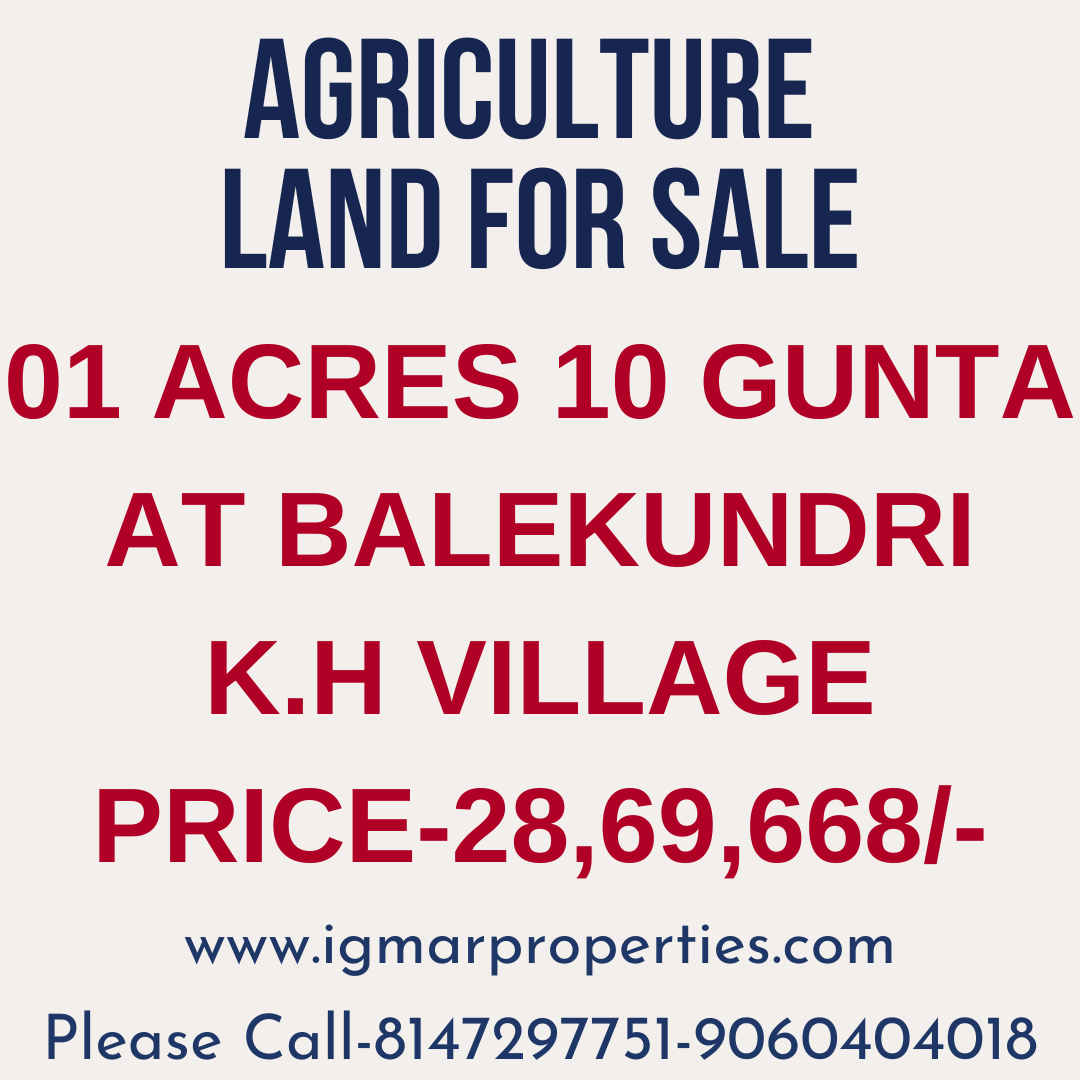 Agriculture land for sale in Auction