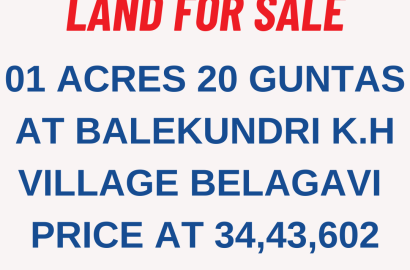 Agriculture  land for sale in Auction