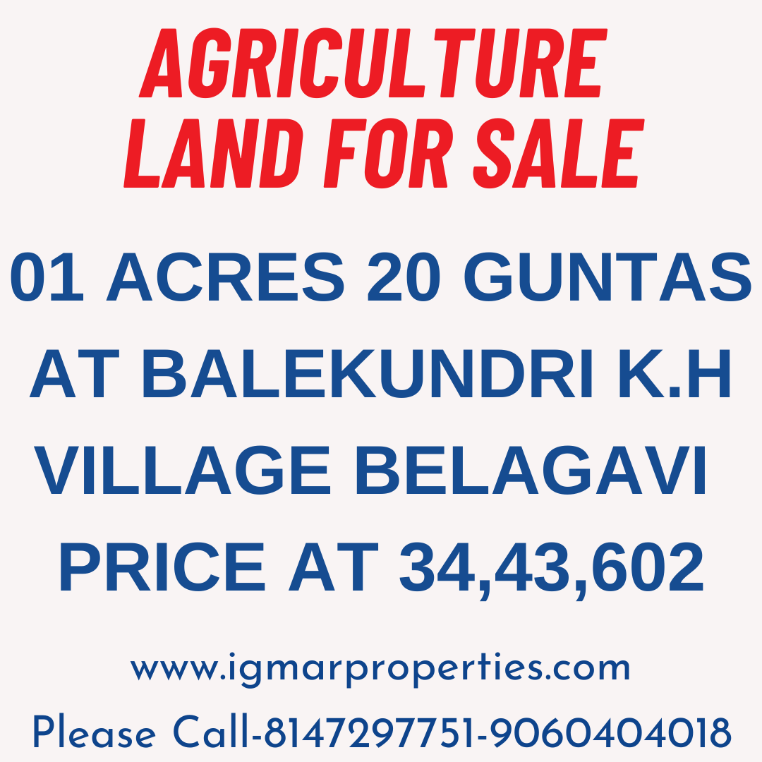 Agriculture  land for sale in Auction