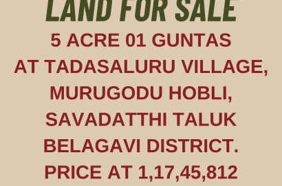 Agriculture land for sale in Auction